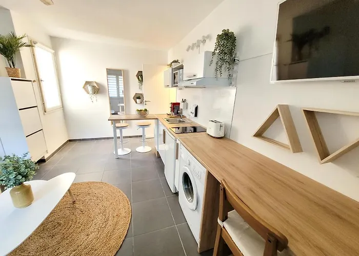 Studio 24M² Montpellier - Hopitaux Facultes Centre