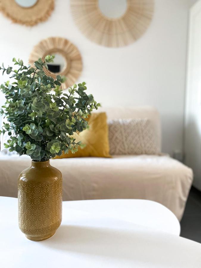 Apartment 24m² - Hopitaux Facultes Centre